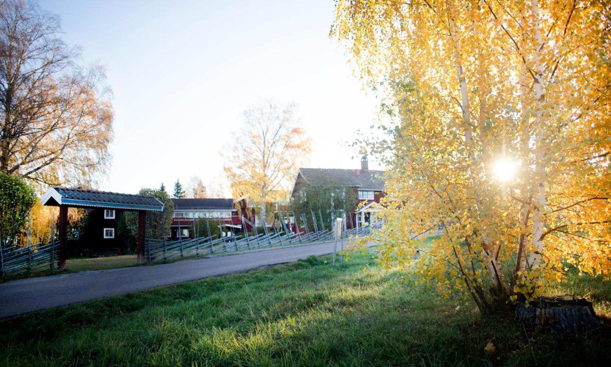 Akerblads Hotell Gaestgiveri Spa Tallberg Bagian luar foto
